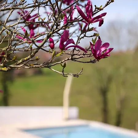 Maison Perbos 1556 4*